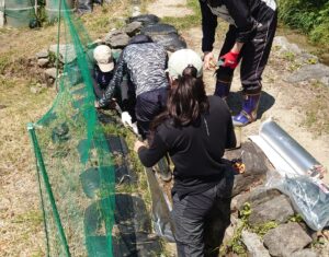 再生湿地、水路の整備