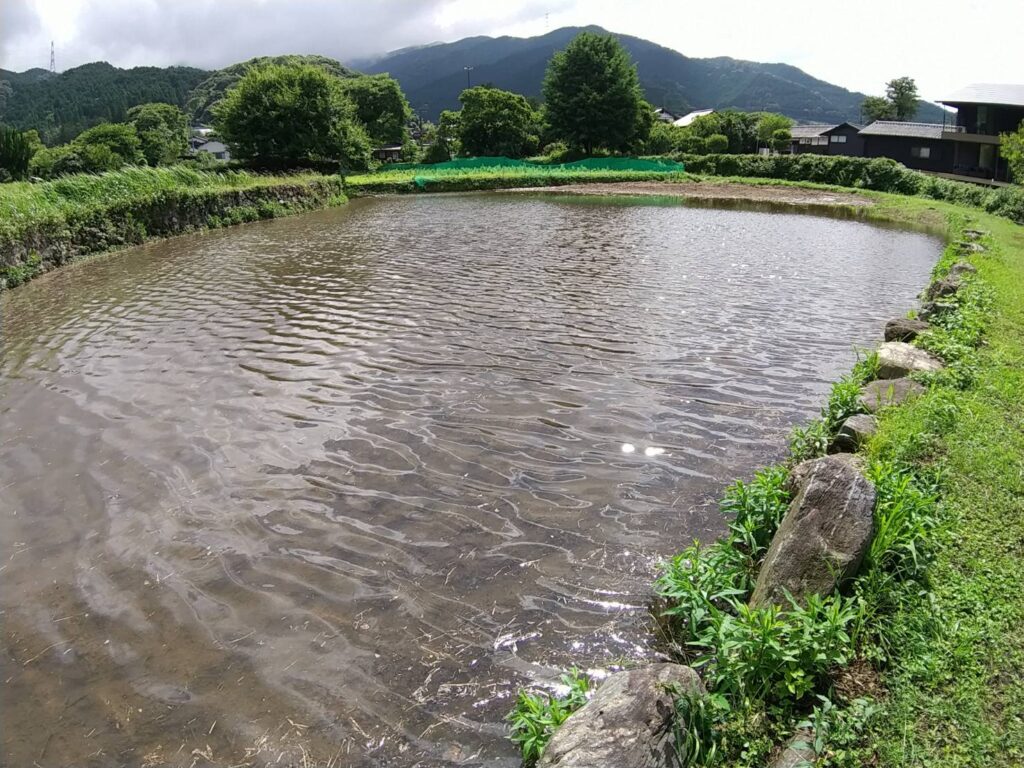 水の入った再生湿地