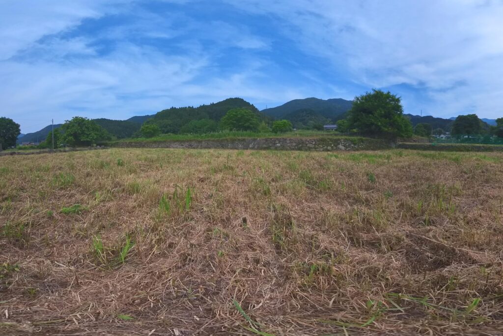 草刈り後の放棄田